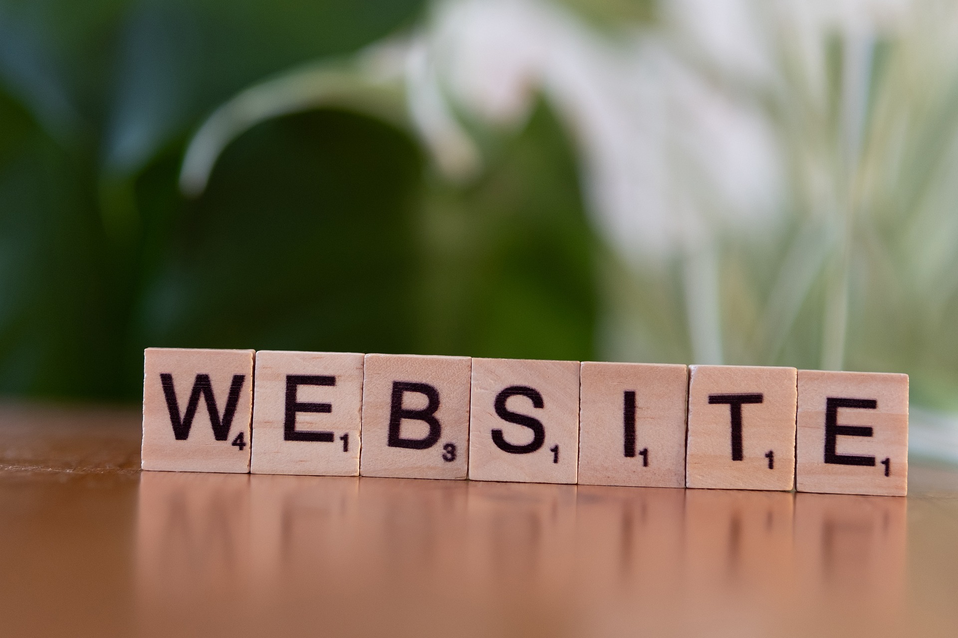 Building Digital Success Stories: Why Siri IT Is the Best Web Development Company in Austin